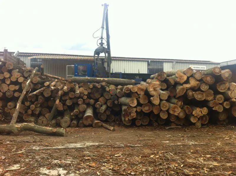 Frisches Holz als Nachschub für das »Monster«