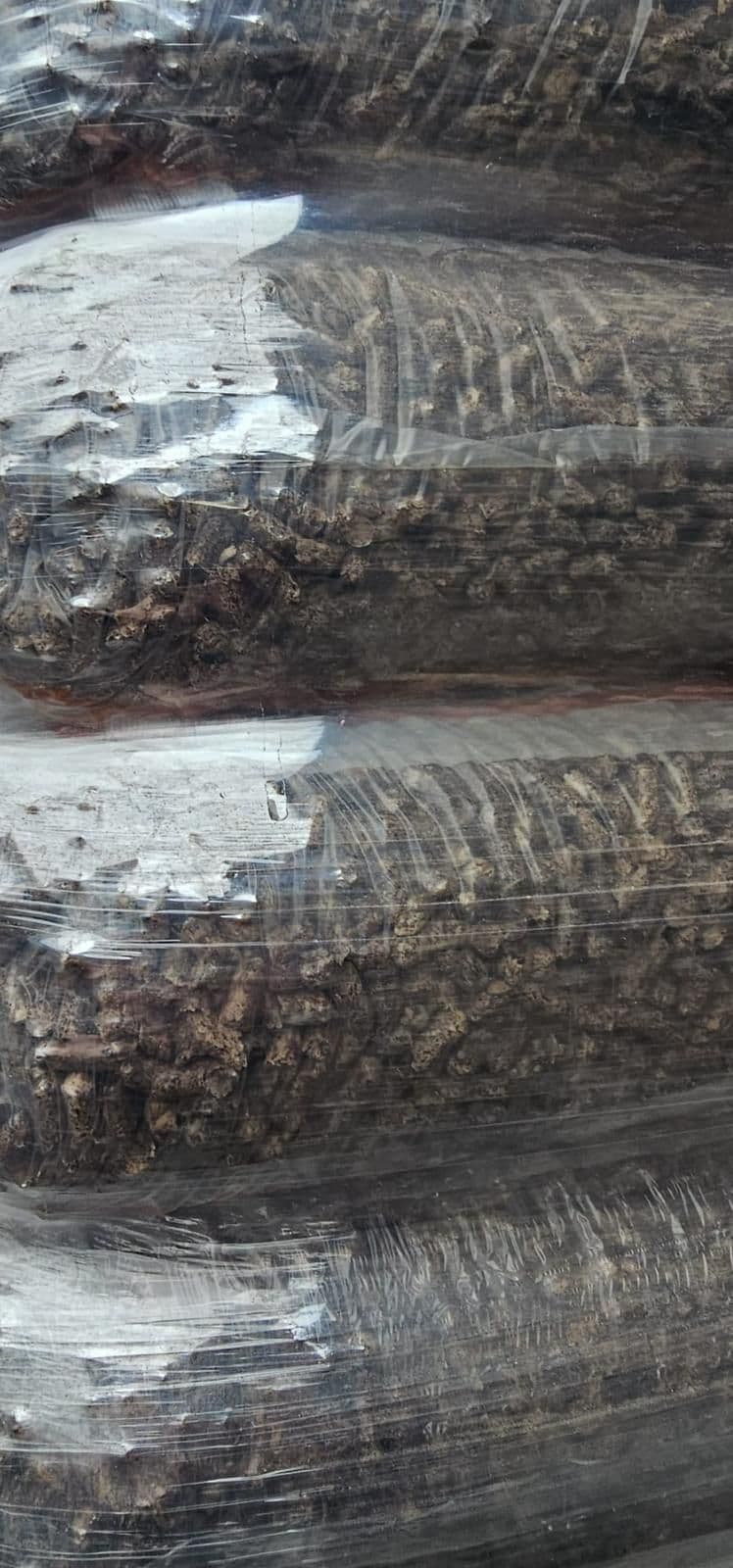 holzpellets-en-plus-a1-wooder-04.jpg